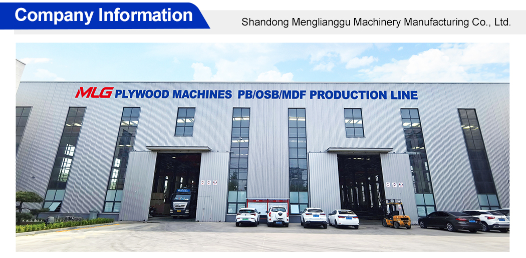 Particle Board Making Machine Automatic Mdf Particle Board Equipment Manufacturer(图4)